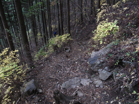 20151116hike (289)